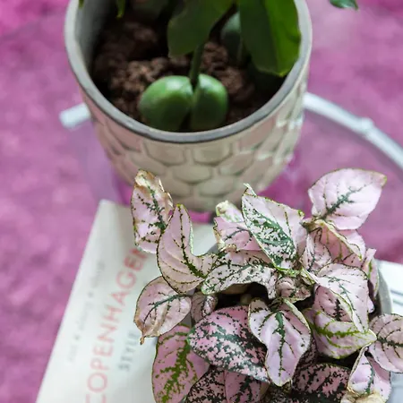 Andersen Boutique Hotel